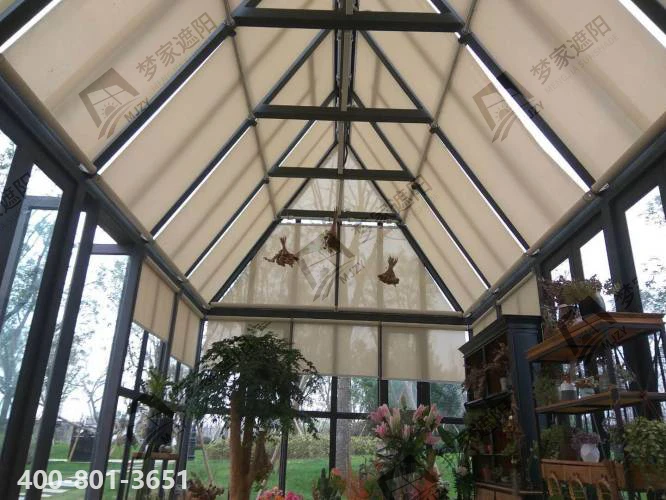 普罗旺世.png 普罗旺世.png